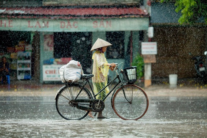 Những bức ảnh tuyệt đẹp này sẽ khiến bạn nhận ra, trong mưa, cuộc đời vẫn dịu dàng đến thế - Ảnh 5.