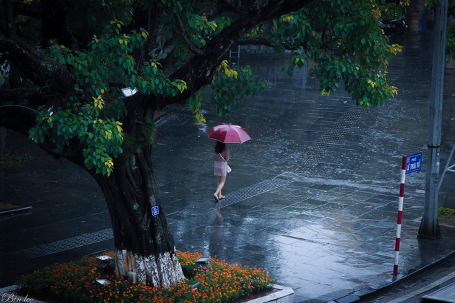 Những bức ảnh tuyệt đẹp này sẽ khiến bạn nhận ra, trong mưa, cuộc đời vẫn dịu dàng đến thế - Ảnh 18.