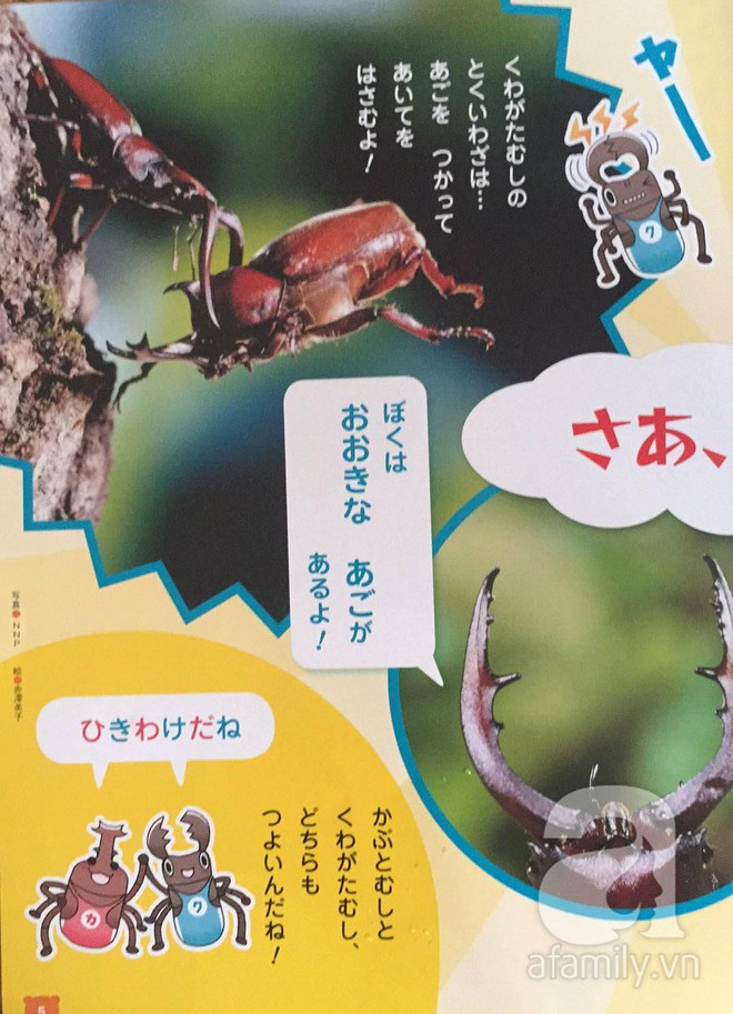Thích thú với cách người Nhật dùng côn trùng làm giáo cụ dạy trẻ - Ảnh 4.