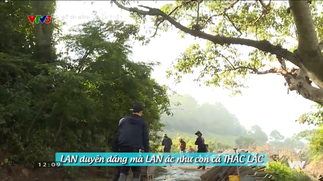 Bố ơi: Bé Xì Trum khóc ngất vì nhớ bố, Nguyễn Hải Phong nhịn ăn chừa phần cho con - Ảnh 3.