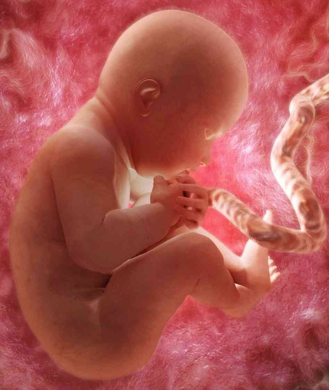 Điều thai nhi sợ hãi nhất khi còn ở trong bụng mẹ và việc mẹ bầu cần tránh - Ảnh 5.