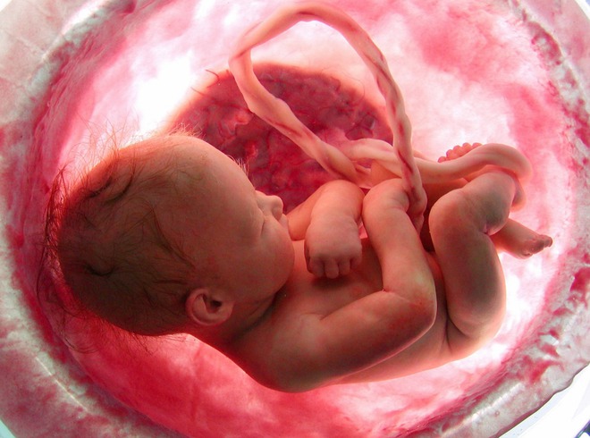 Điều thai nhi sợ hãi nhất khi còn ở trong bụng mẹ và việc mẹ bầu cần tránh - Ảnh 6.