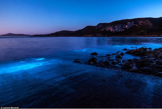 Kỳ diệu vùng nước biển cứ chạm vào là phát ra ánh sáng màu xanh lam   - Ảnh 5.