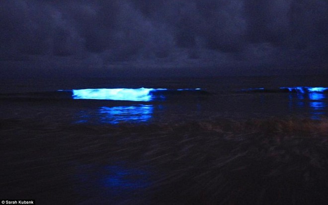 Kỳ diệu vùng nước biển cứ chạm vào là phát ra ánh sáng màu xanh lam   - Ảnh 6.