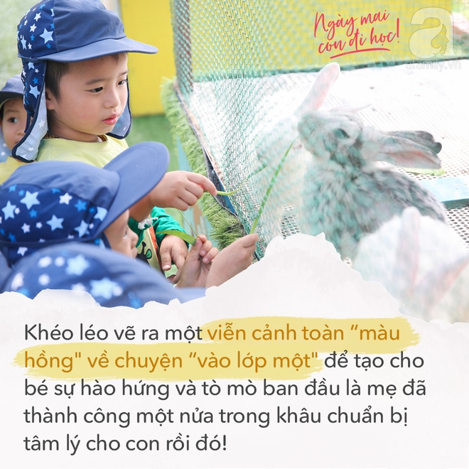 Cách dạy bơi thông minh nhất là đẩy con xuống nước, hành trang cho con vào lớp một cũng vậy! - Ảnh 2.