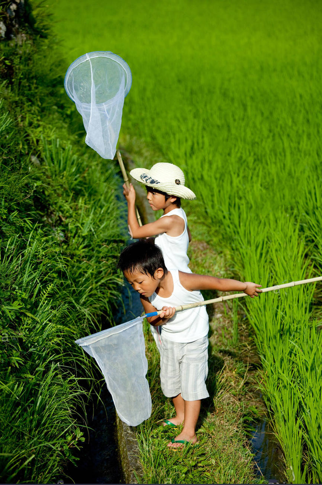 Hóa ra cha mẹ Nhật mang cả âm dương ngũ hành để dạy con. Thảo nào trẻ lại thông minh đến vậy - Ảnh 5.