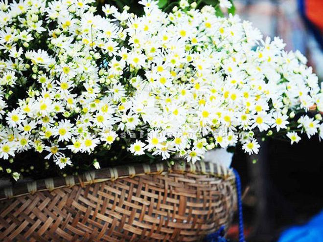 Dự đoán tháng cuối cùng của năm với hàng loạt bất ngờ cho 12 con giáp - Ảnh 1.