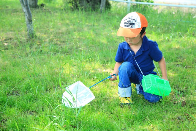 Thích thú với cách người Nhật dùng côn trùng làm giáo cụ dạy trẻ - Ảnh 1.