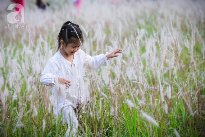 Cánh đồng bông lau đẹp như trong phim - thiên đường sống ảo mới của giới trẻ Hà Nội - Ảnh 15.