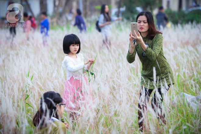 Cánh đồng bông lau đẹp như trong phim - thiên đường sống ảo mới của giới trẻ Hà Nội - Ảnh 14.