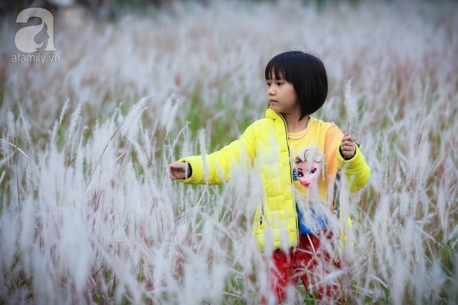 Cánh đồng bông lau đẹp như trong phim - thiên đường sống ảo mới của giới trẻ Hà Nội - Ảnh 12.