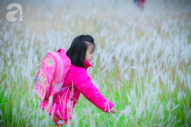 Cánh đồng bông lau đẹp như trong phim - thiên đường sống ảo mới của giới trẻ Hà Nội - Ảnh 9.