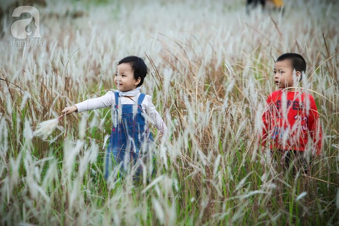 Cánh đồng bông lau đẹp như trong phim - thiên đường sống ảo mới của giới trẻ Hà Nội - Ảnh 8.