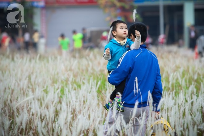 Cánh đồng bông lau đẹp như trong phim - thiên đường sống ảo mới của giới trẻ Hà Nội - Ảnh 1.