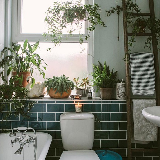 “Nhà tắm thực vật” – cách đơn giản để nhà tắm thêm mát mẻ trong ngày hè nắng nóng - Ảnh 10.