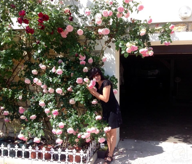 Khu vườn hoa hồng rộng hơn 1 hecta đẹp như cổ tích của người phụ nữ sinh ra ở chốn ngàn hoa - Ảnh 2.