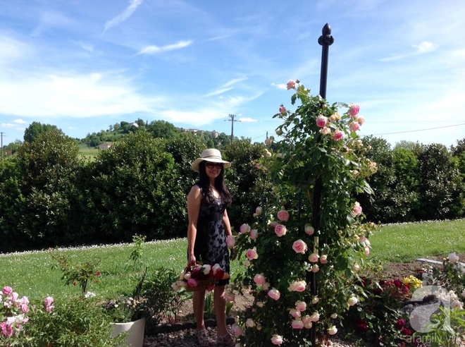 Khu vườn hoa hồng rộng hơn 1 hecta đẹp như cổ tích của người phụ nữ sinh ra ở chốn ngàn hoa - Ảnh 3.