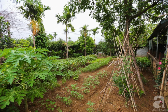 Sau mọi ánh hào quang của sân khấu, NSND Thanh Hoa sống bình yên bên nhà vườn rộng 1000m² - Ảnh 23.