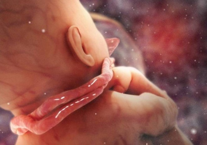 Những chuyện có thể xảy ra trong quá trình sinh nở mẹ bầu chưa chắc đã biết - Ảnh 4.