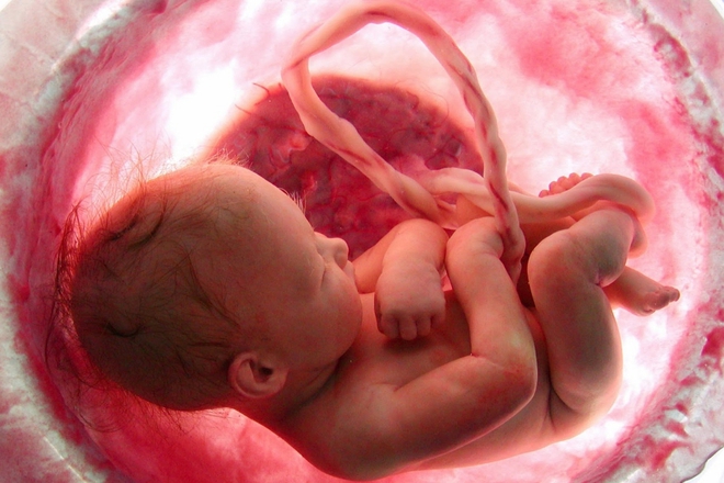 Những chuyện có thể xảy ra trong quá trình sinh nở mẹ bầu chưa chắc đã biết - Ảnh 6.