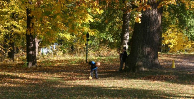 Đến công chúa Hoàng gia thì tiêu chí chọn trường mầm non cho con vẫn là rợp bóng cây như công viên - Ảnh 19.