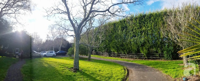 Choáng ngợp trước ngôi nhà vườn xanh mát bóng cây, rộng 7600m² của cô dâu Việt tại New Zealand - Ảnh 13.