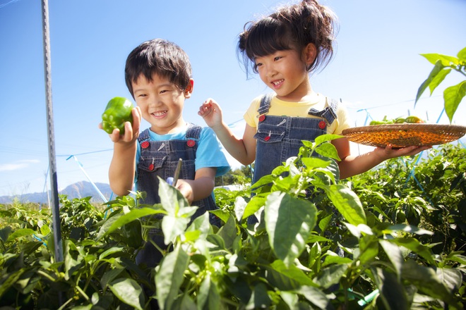 Hóa ra cha mẹ Nhật mang cả âm dương ngũ hành để dạy con. Thảo nào trẻ lại thông minh đến vậy - Ảnh 2.