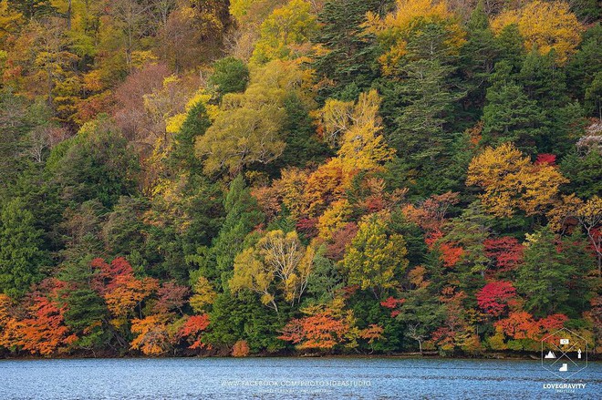 5 điểm đến mùa thu sẽ khiến bạn ngất ngây vì phong cảnh đẹp như trong mơ - Ảnh 8.
