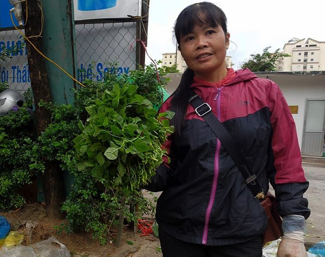 Hà Nội: Bà nội chợ méo mặt vì rau xanh khan hiếm, giá tăng gấp đôi sau ngập lụt - Ảnh 4.