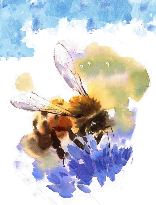 Chỉ đầu tư 1 thìa mật ong mỗi ngày, bạn sẽ nhận lại ngay 43 công dụng thần kỳ cho nhan sắc và sức khỏe - Ảnh 6.