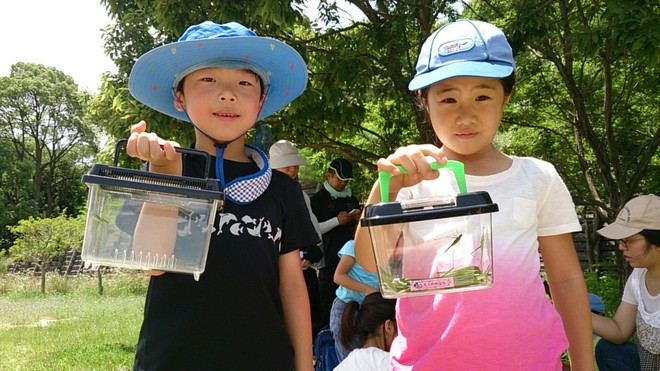 Thích thú với cách người Nhật dùng côn trùng làm giáo cụ dạy trẻ - Ảnh 2.