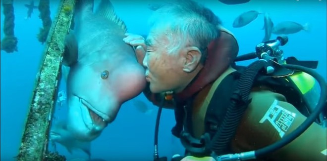 Ai mà ngờ được, trong suốt 25 năm, ngày nào ông cụ 79 tuổi cũng hôn cá đầu cừu - Ảnh 3.