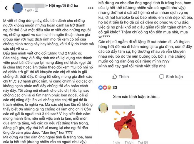 Cô gái gây sốc khi tự nhận là người thứ 3, tuyên bố với các cô vợ: Thay vì rình mò bọn em, các chị về mà lo giữ chồng! - Ảnh 1.