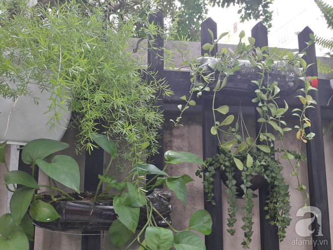 Đã mắt với 2 vườn rau gì cũng có của bà mẹ 8X ở Sài Gòn - Ảnh 5.