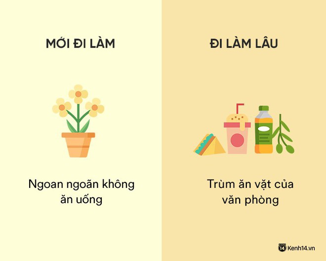 Sự khác nhau phũ phàng giữa hồi mới đi làm và khi đã đi làm lâu năm - Ảnh 5.