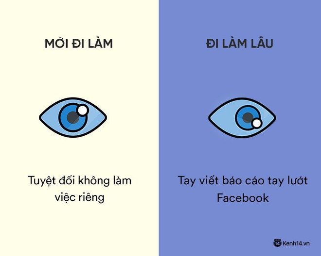 Sự khác nhau phũ phàng giữa hồi mới đi làm và khi đã đi làm lâu năm - Ảnh 6.