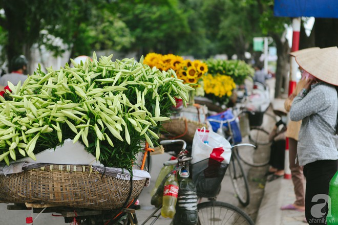 Hoa loa kèn trắng tinh khôi đã về trên phố Hà Nội, chị em nhanh tay mua kẻo hết mùa - Ảnh 5.