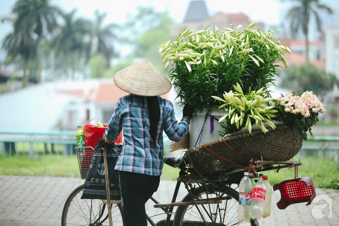 Hoa loa kèn trắng tinh khôi đã về trên phố Hà Nội, chị em nhanh tay mua kẻo hết mùa - Ảnh 11.