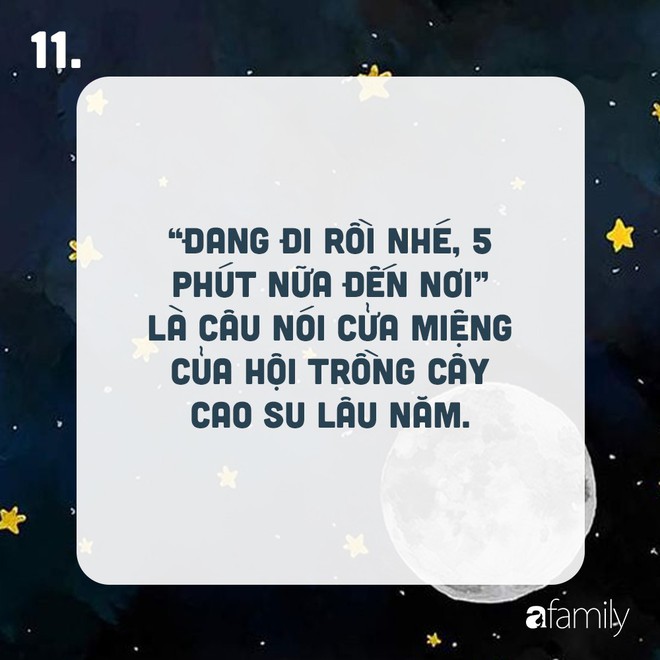 Đây chắc chắn là những câu nói dối quen thuộc nhất mà các bạn từng được nghe, dù cá tháng Tư có tồn tại hay không - Ảnh 11.