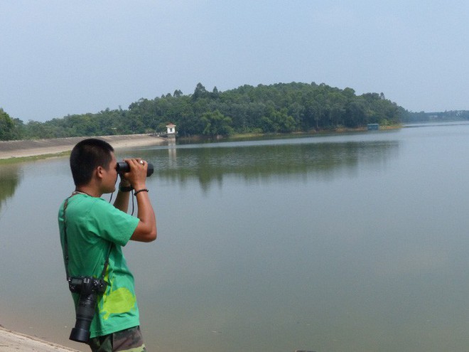 Thông tin bất ngờ: Quây lưới phát hiện rùa Hồ Gươm khổng lồ ở Sơn Tây - Ảnh 4.