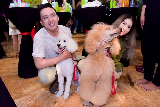 Bỏ 100 triệu mua Album, Dương Triệu Vũ được Đàm Vĩnh Hưng hôn má - Ảnh 11.