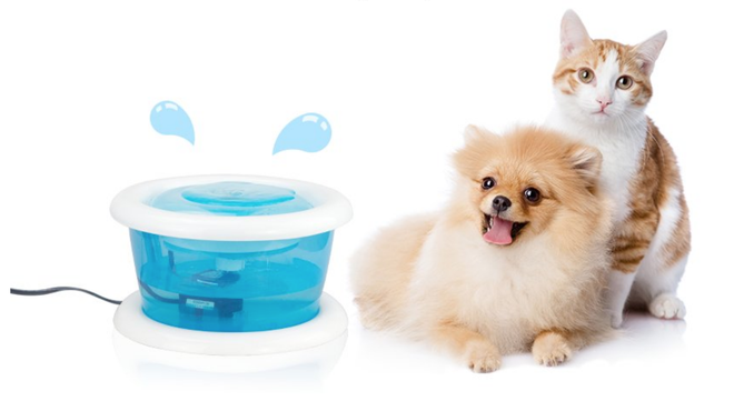 Loạt dụng cụ chất phát ngất giúp các boss chó mèo lầy lội ngưng uống nước bẩn trong nhà vệ sinh - Ảnh 4.