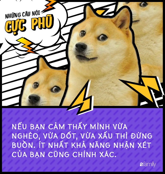 12 câu nói cực phũ giúp bạn nhận ra rằng cuộc đời này vốn dĩ không như là mơ - Ảnh 5.