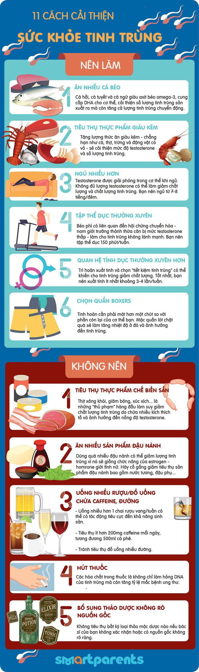 11 cách cải thiện chất lượng tinh trùng và 8 sự thật ngạc nhiên về chúng mà các đấng mày râu cần để tâm - Ảnh 2.