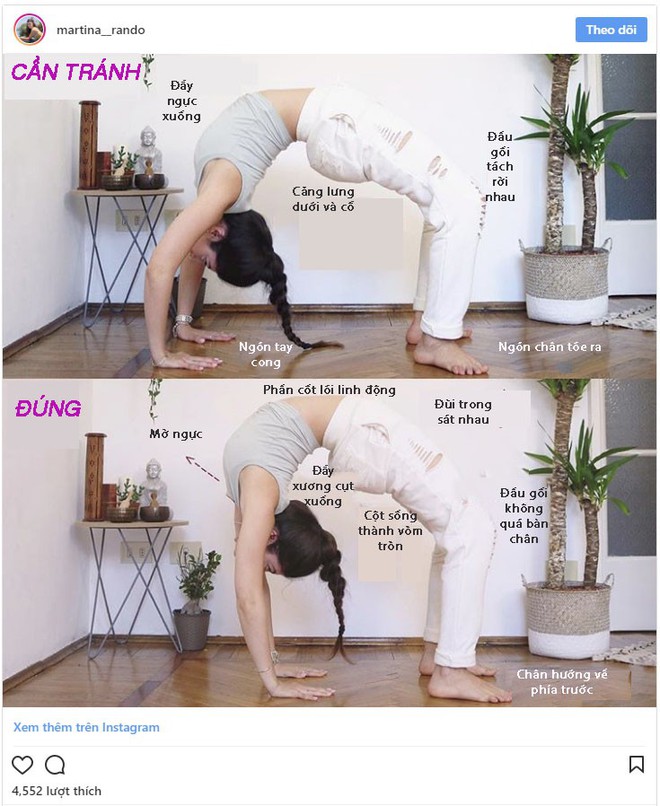 7 tư thế yoga đánh bay các vấn đề về phổi, đau lưng, đau đầu và chứng mất ngủ mà ai cũng thích - Ảnh 3.
