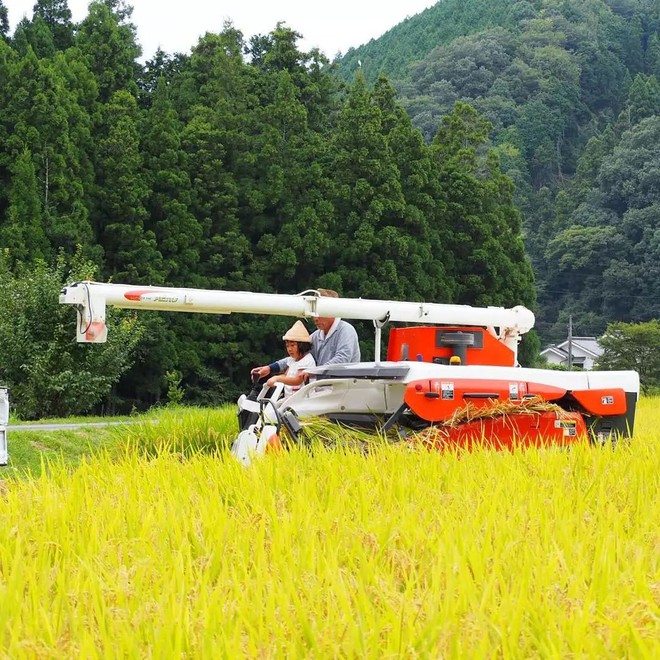 Ngôi nhà nhỏ và cuộc sống đơn sơ của gia đình Nhật Bản ở làng quê khiến bao người ngưỡng mộ - Ảnh 5.