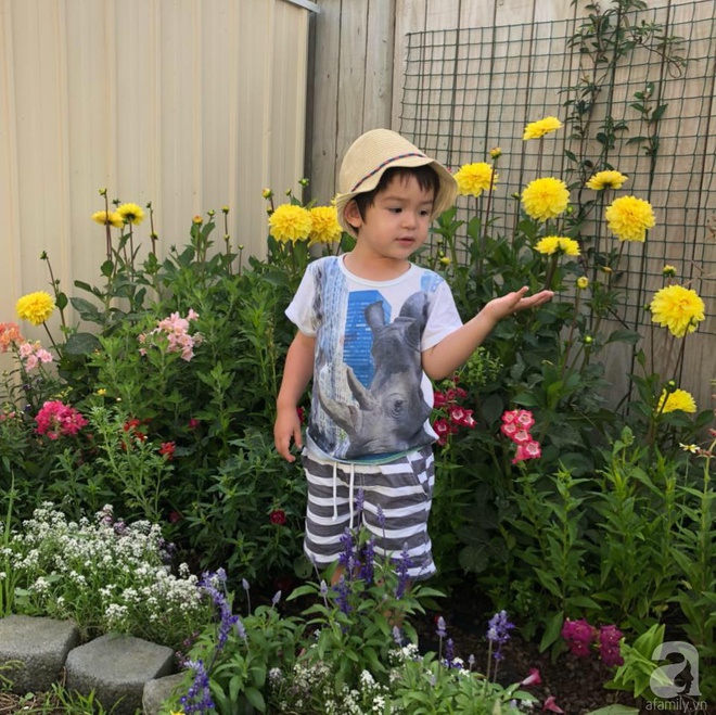 Chỉ mất 2 năm, bà mẹ trẻ đã phủ kín khu vườn rộng tới 200m² với hàng trăm loài hoa rực rỡ muôn màu - Ảnh 5.