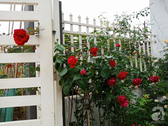 Ngôi nhà hoa hồng nhỏ nhắn và vô cùng dễ thương giữa thành phố Hạ Long của mẹ trẻ xinh đẹp - Ảnh 1.