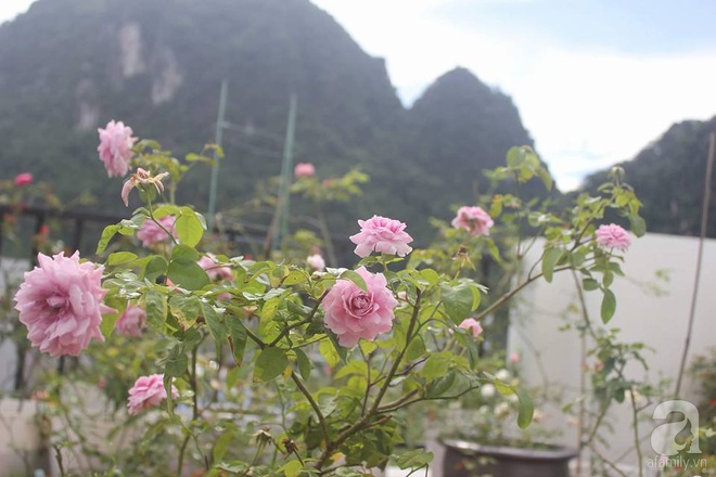 Ngôi nhà hoa hồng nhỏ nhắn và vô cùng dễ thương giữa thành phố Hạ Long của mẹ trẻ xinh đẹp - Ảnh 22.