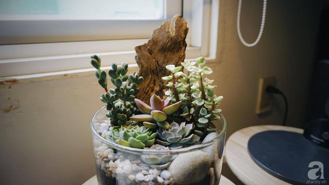 Chàng họa sĩ 9x độc thân ở Sài Gòn với thú vui làm tiểu cảnh Terrarium khiến vạn người mê - Ảnh 19.